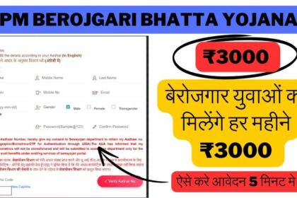 PM Berojgari Bhatta Yojana Ka Online Form-min