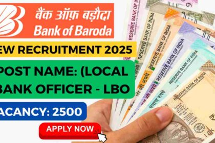 bob vacancy 2025